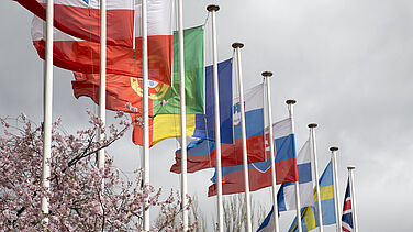 Photograph of European flags from the Eurometropole