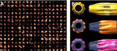 Single particle reconstruction paradigm: images of centriole models